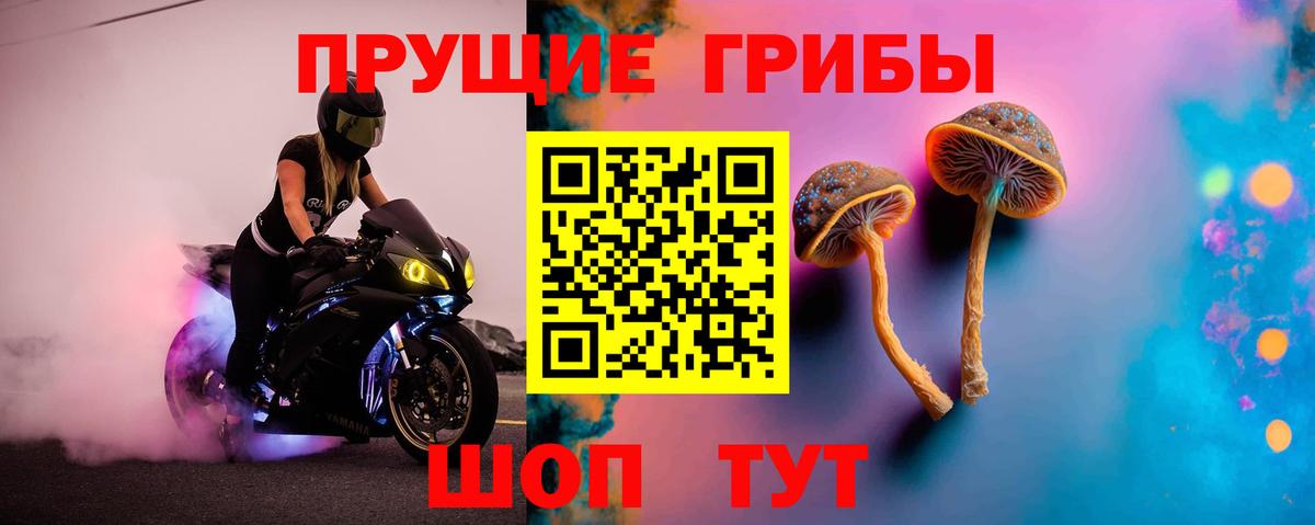 Галлюциногенные грибы MAGIC MUSHROOMS Нижний Тагил